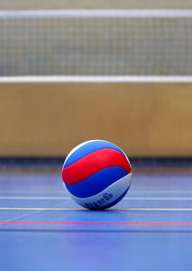 Sport volley ball sports photo