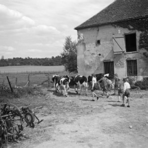Tweede wereldoorlog, Volksgezondheid, Bestanddeelnr 900-5849
