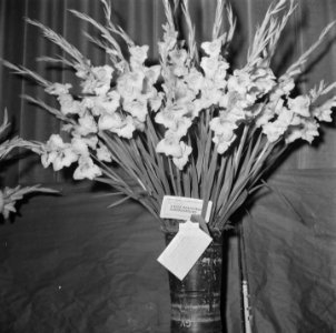 Tweede wereldoorlog, handel, Bestanddeelnr 900-6410