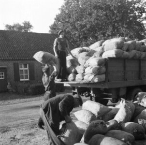 Tweede wereldoorlog, voedselvoorzieningen, Bestanddeelnr 900-6525