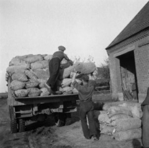 Tweede wereldoorlog, voedselvoorzieningen, Bestanddeelnr 900-6526
