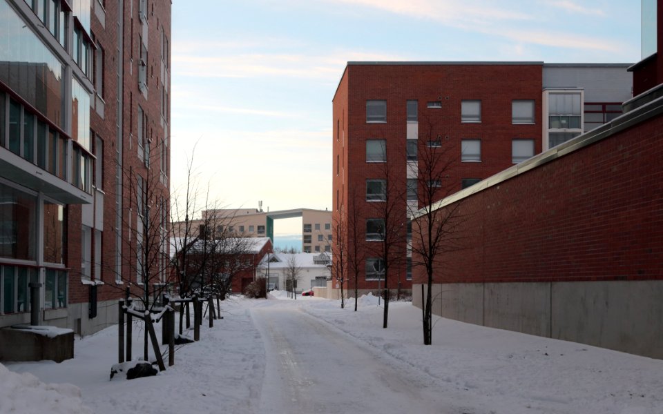 Tullikirjurinraitti Oulu 20210110