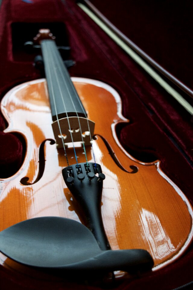 String bow wooden