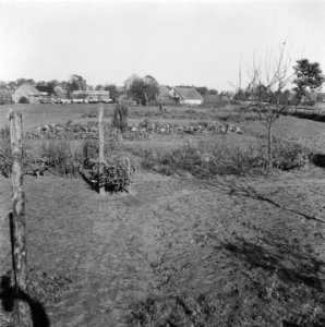 Tweede wereldoorlog, tuinen, Bestanddeelnr 901-0041 photo
