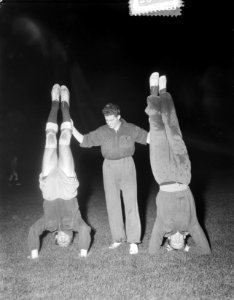 Training Nederlands Elftal, Bestanddeelnr 906-0485