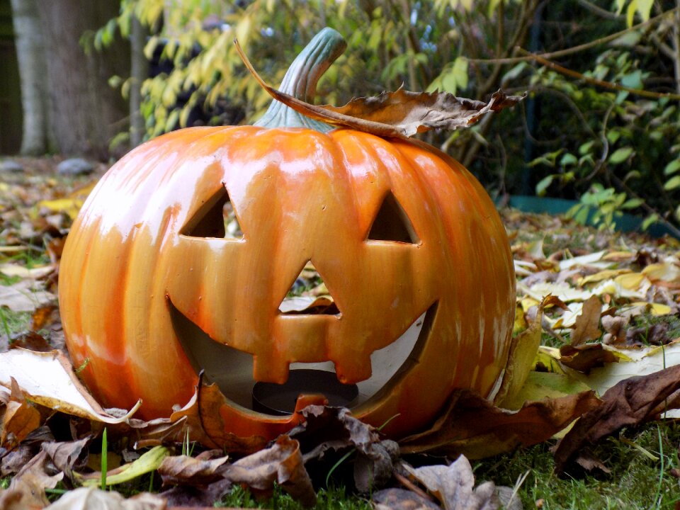 Decoration orange autumn