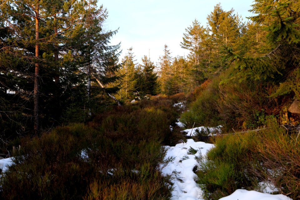 Trail on Hoher Ochsenkopf 2020-03-15 136