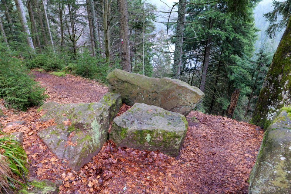 Trail to Sankenbach Waterfalls 2020-03-12 05