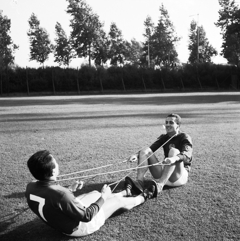 Training Hongaars elftal te Rotterdam, Bestanddeelnr 934-6494