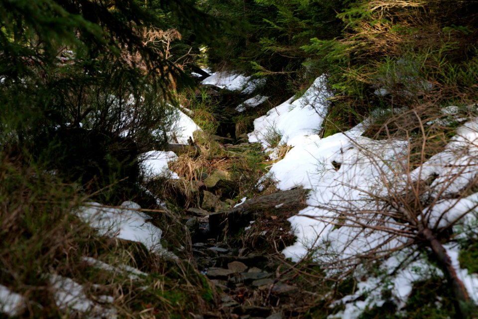 Trail on Hoher Ochsenkopf 2020-03-15 18