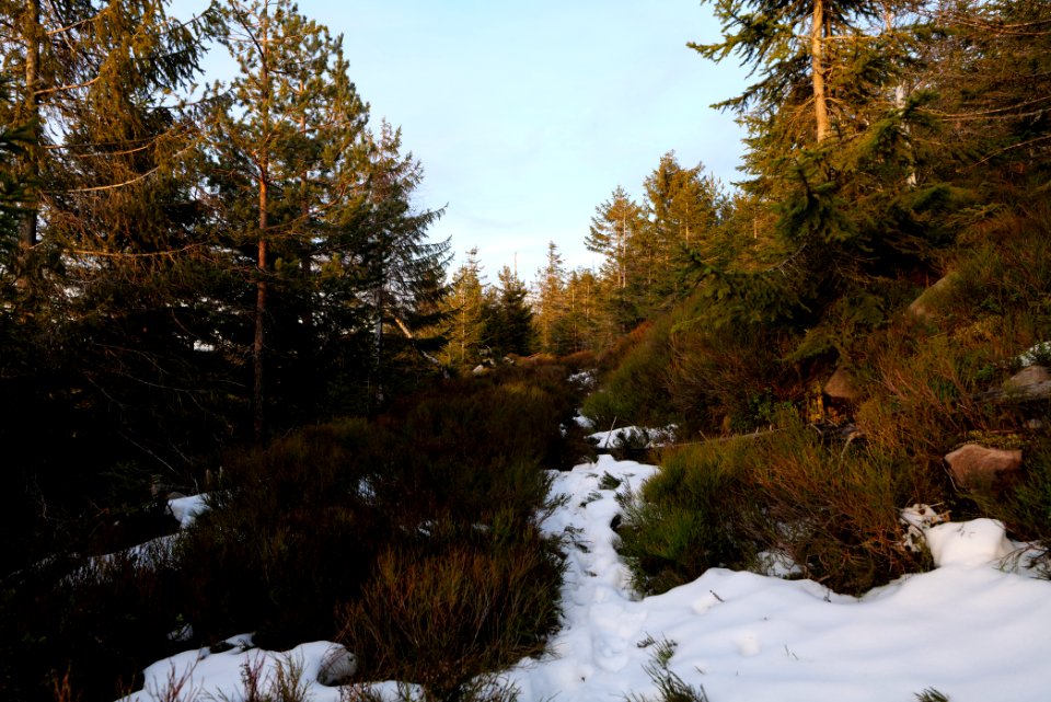 Trail on Hoher Ochsenkopf 2020-03-15 137