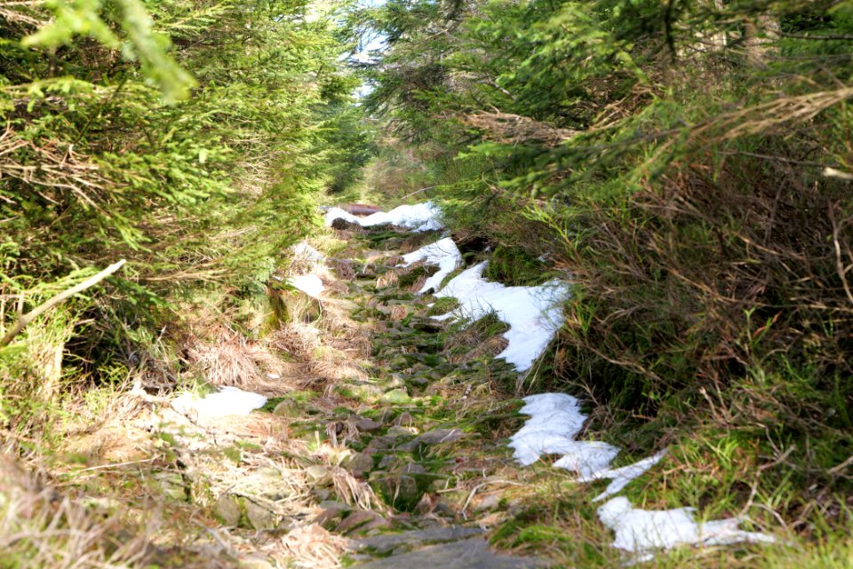 Trail on Hoher Ochsenkopf 2020-03-15 28