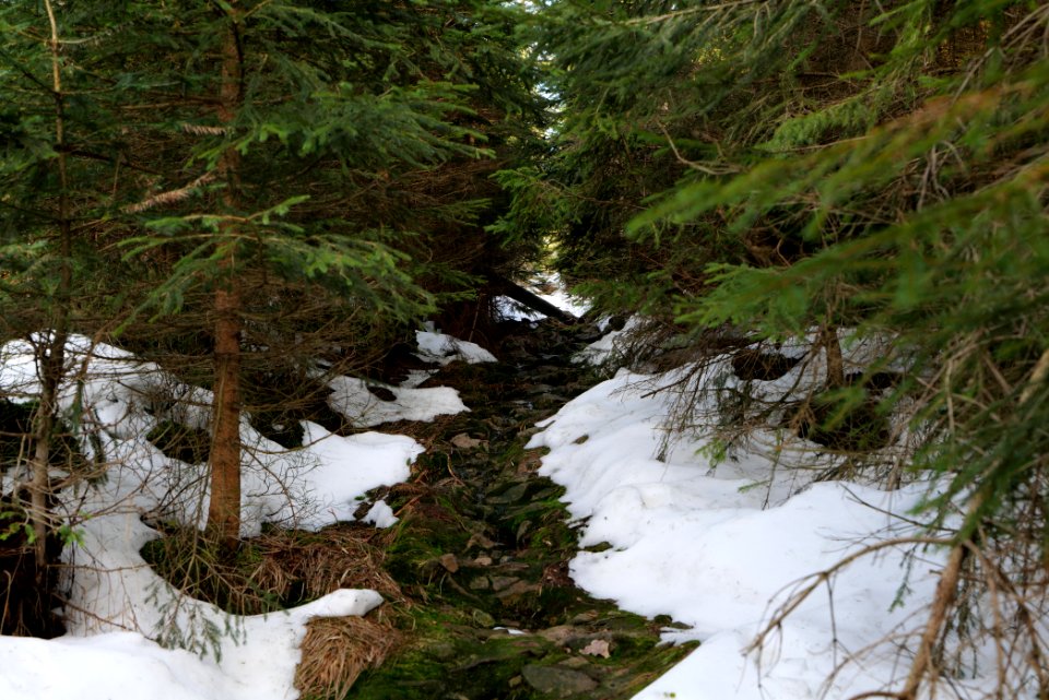 Trail on Hoher Ochsenkopf 2020-03-15 22