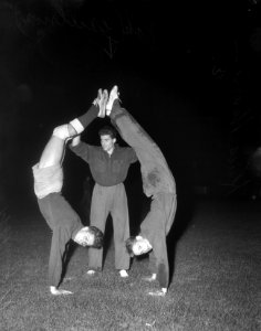 Training Nederlands Elftal, Bestanddeelnr 906-0486