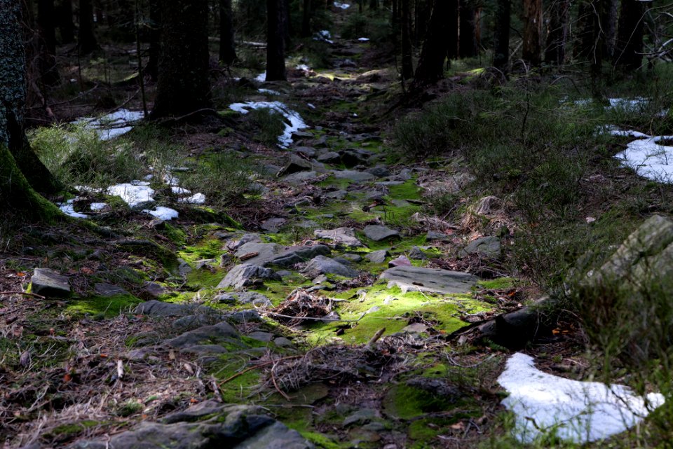 Trail on Hoher Ochsenkopf 2020-03-15 16