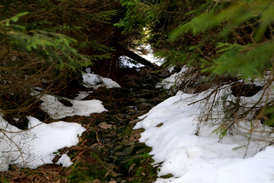 Trail on Hoher Ochsenkopf 2020-03-15 23