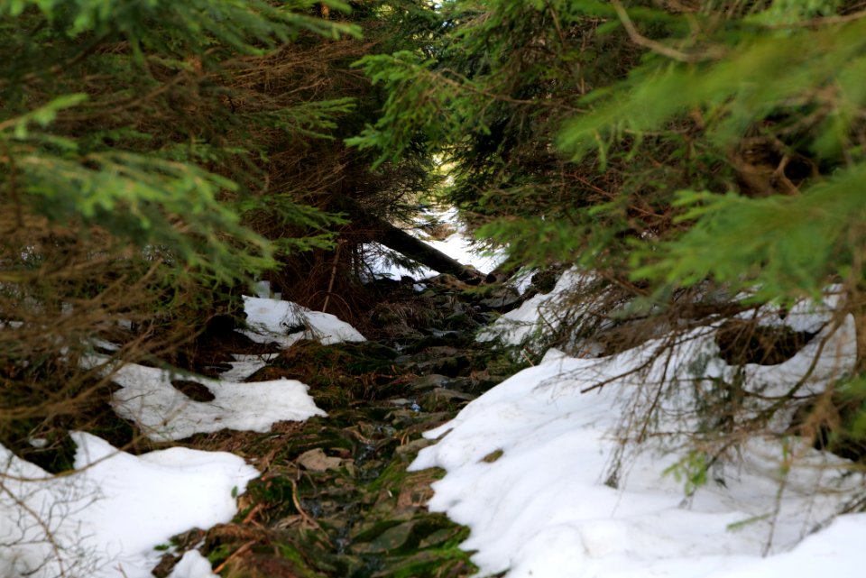 Trail on Hoher Ochsenkopf 2020-03-15 20