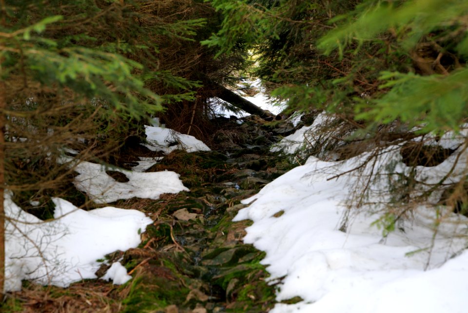 Trail on Hoher Ochsenkopf 2020-03-15 21