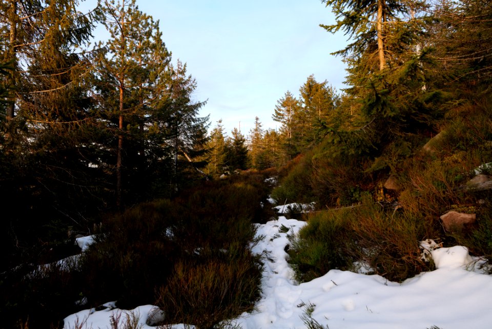 Trail on Hoher Ochsenkopf 2020-03-15 138