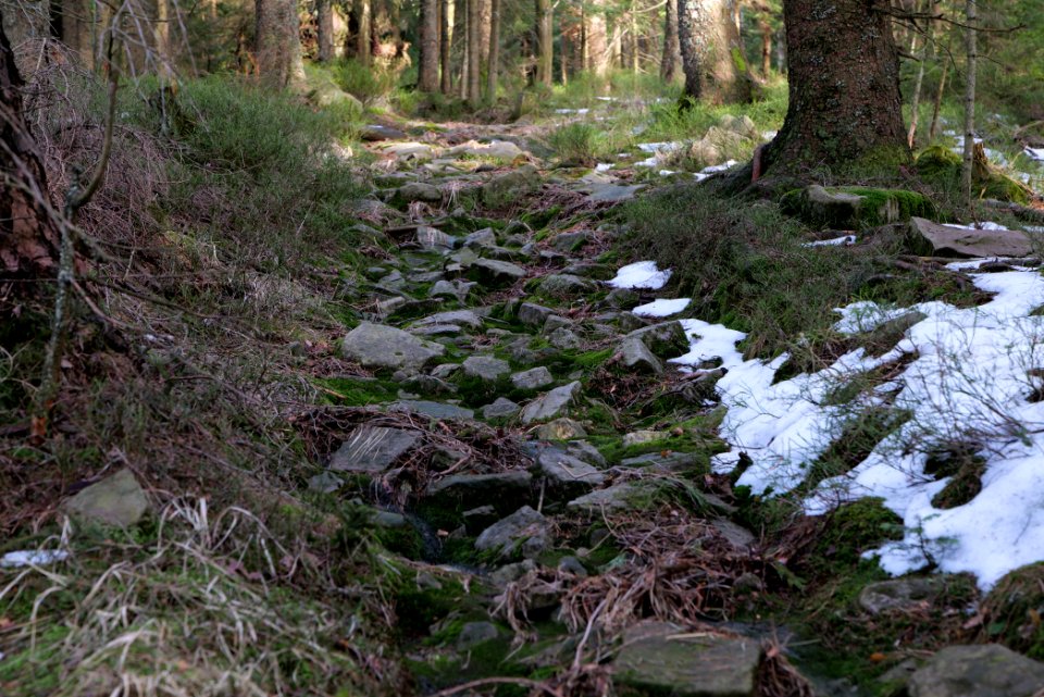 Trail on Hoher Ochsenkopf 2020-03-15 15