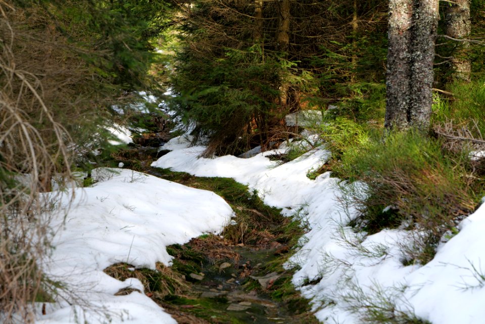 Trail on Hoher Ochsenkopf 2020-03-15 24