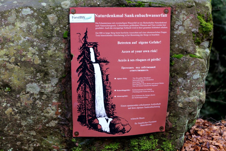 Trail to Sankenbach Waterfalls 2020-03-12 06