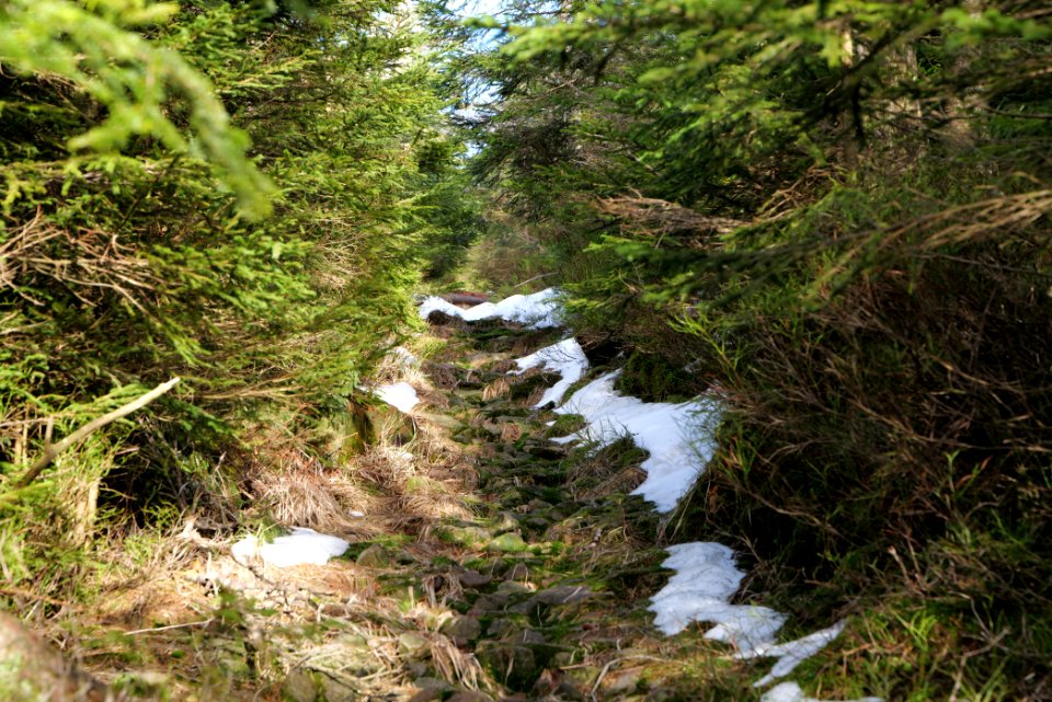 Trail on Hoher Ochsenkopf 2020-03-15 29