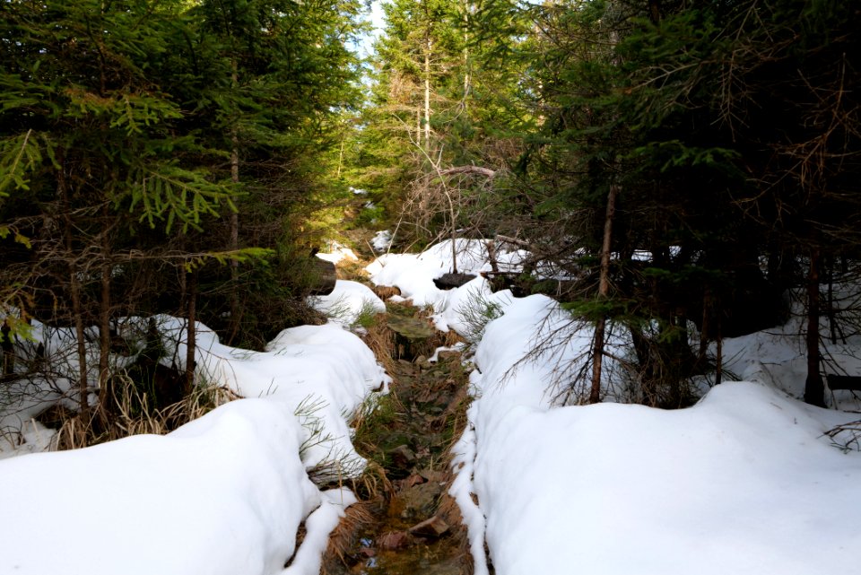 Trail on Hoher Ochsenkopf 2020-03-15 27