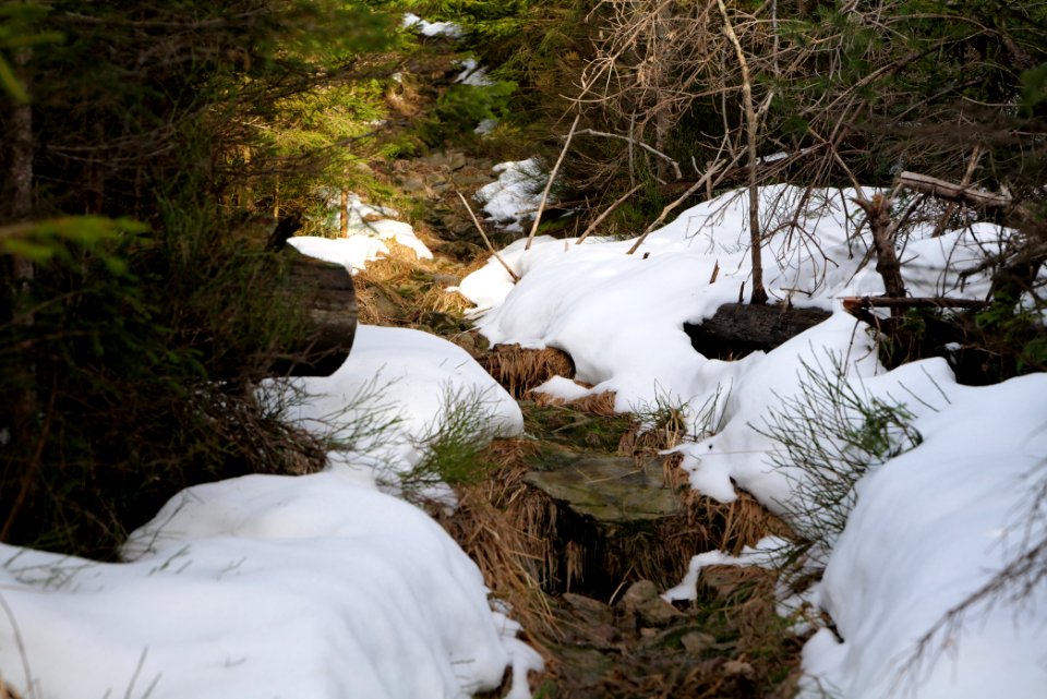 Trail on Hoher Ochsenkopf 2020-03-15 26