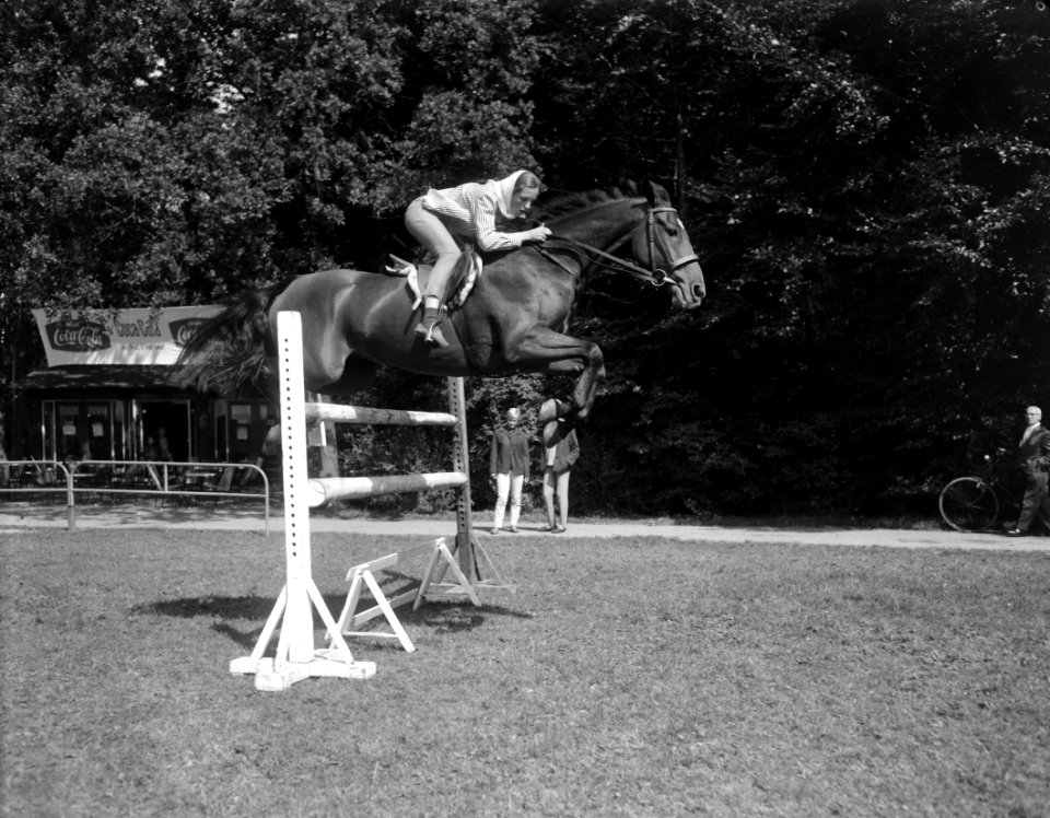 Training CHIO te Rotterdam, de Engelse Olympische deelneemster Alice Westwood op, Bestanddeelnr 916-8355
