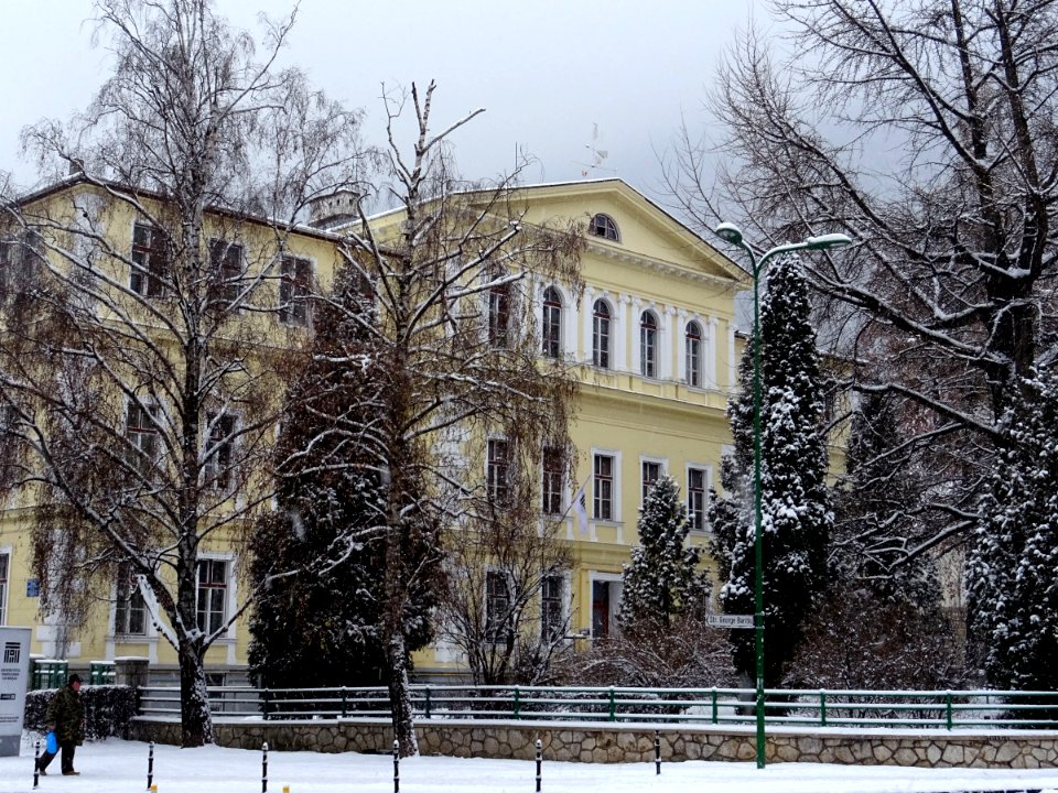 Transylvania University building S