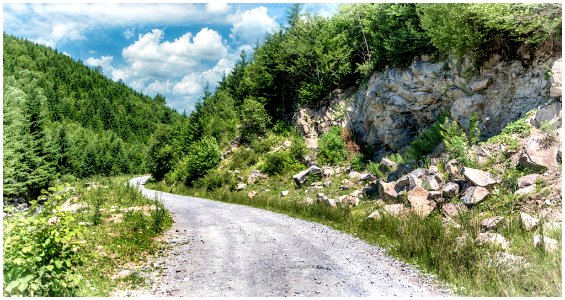 Transylvania (190661651)