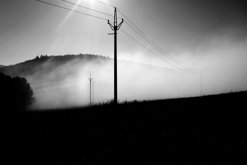 Fog summer morning