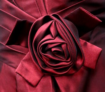 Rose fashion couture photo