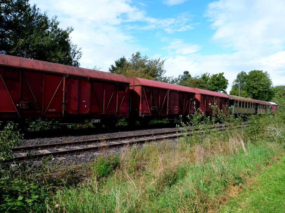 Trains at Walheim trainstation 10