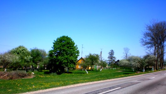 Trakučiai1