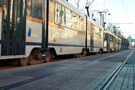 Tram 81 (193140991) photo