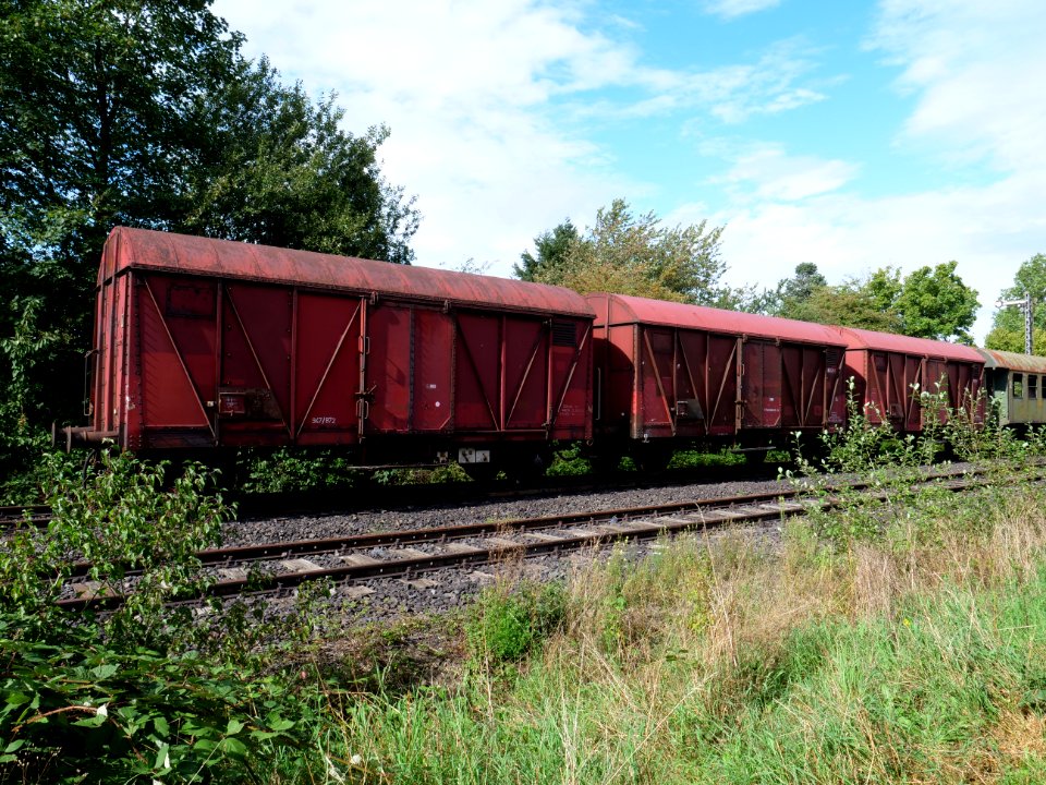 Trains at Walheim trainstation 09