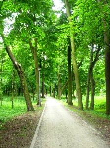 Trakt w parku nad starym Kanałem Bydgoskim