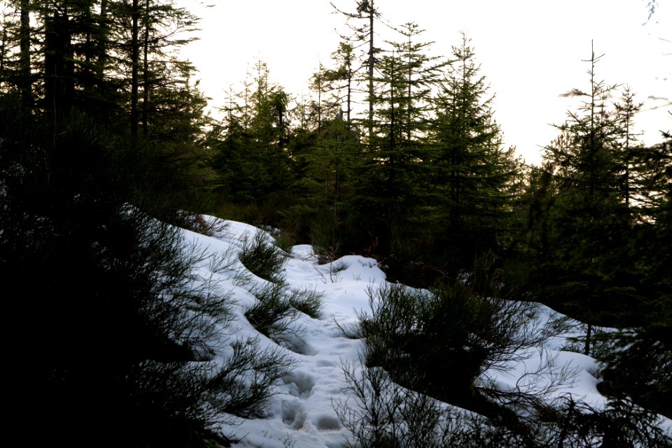 Trail on Hoher Ochsenkopf 2020-03-15 117