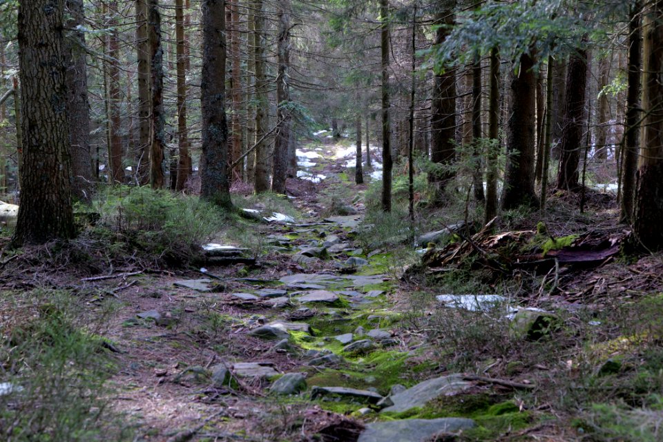 Trail on Hoher Ochsenkopf 2020-03-15 13