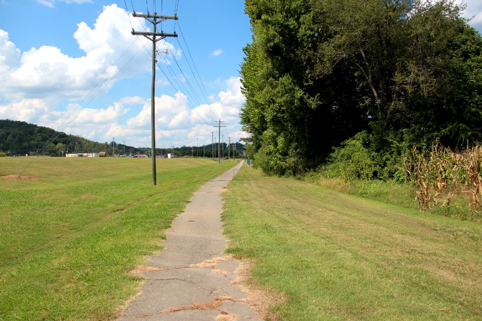 Trail in Tellico Plains, Sept 2019
