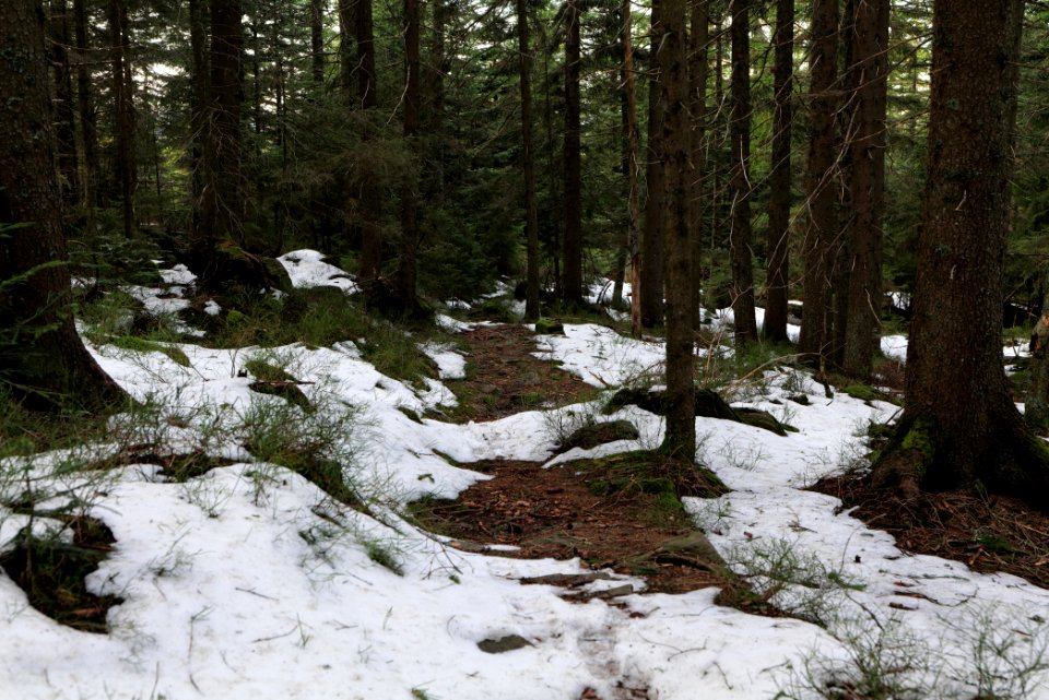 Trail on Hoher Ochsenkopf 2020-03-15 99