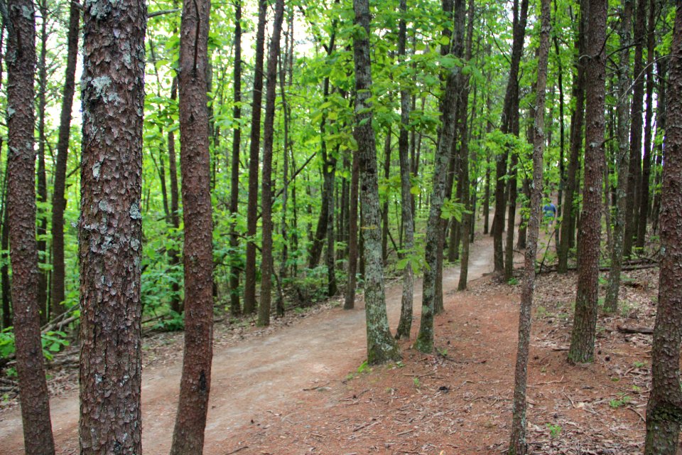 Trail on Pine Mountain (Bartow County, Georgia), May 2018