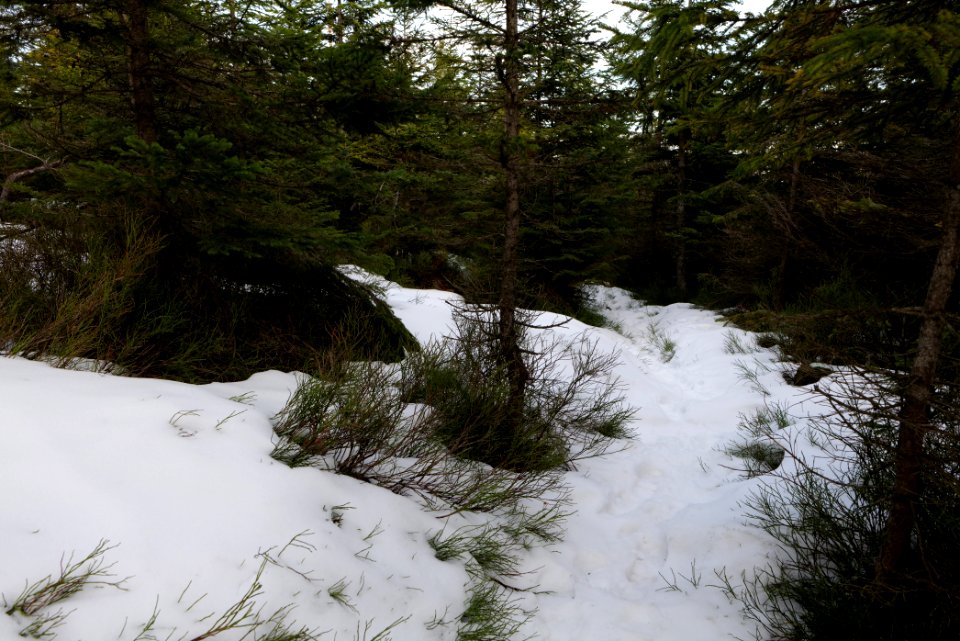 Trail on Hoher Ochsenkopf 2020-03-15 86