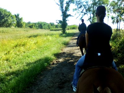 Trail riding 906