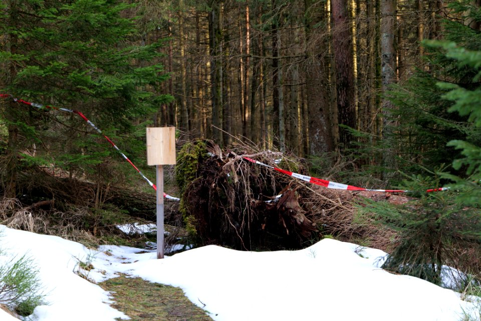 Trail on Hoher Ochsenkopf 2020-03-15 03