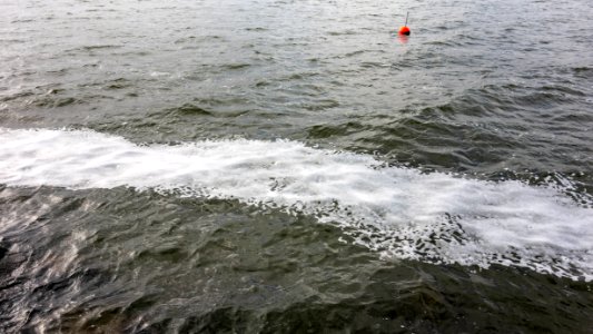 Trail of sea foam in Brofjorden 4