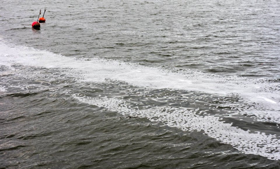 Trail of sea foam in Brofjorden 8