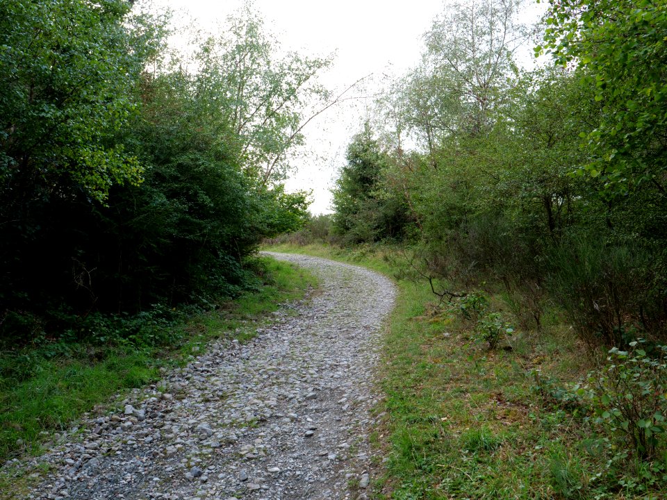 Trail from Urfttalsperre to Dreiborner Hochfläche in September 2019 13
